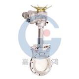 電動(dòng)刀型閘閥